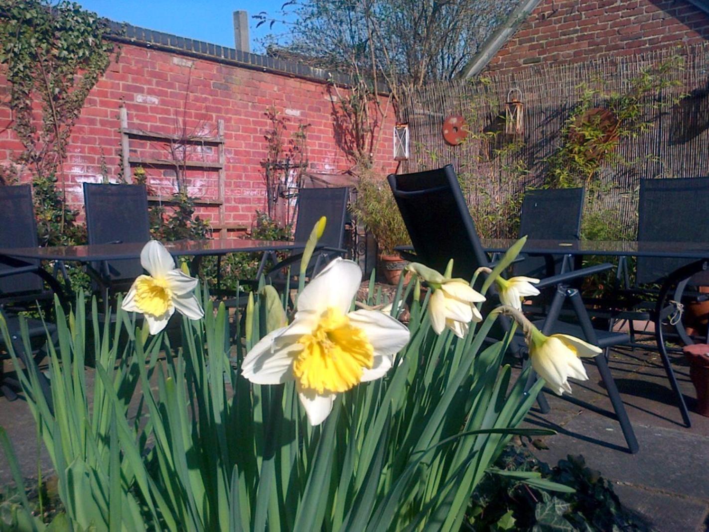 Bed and Breakfast La Fosse At Cranborne Esterno foto