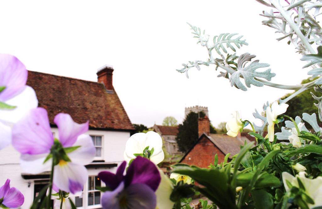 Bed and Breakfast La Fosse At Cranborne Esterno foto